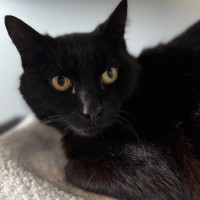 Photo of Kiki