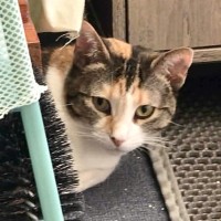 Photo of Missy