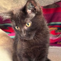 Photo of Harriet 