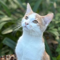 Photo of Cooper 💙🐾😺