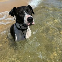 Photo of Bottletop Bill