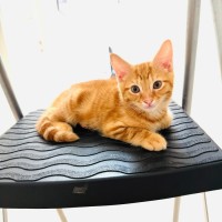 Photo of George