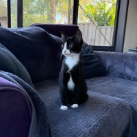 Photo of Humphrey