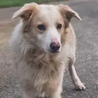 Photo of Jasper