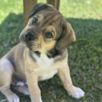 Photo of Spud