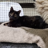 Photo of Polly