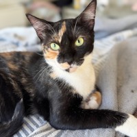 Photo of Leila