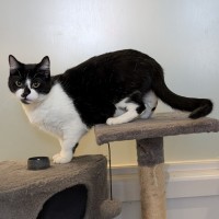 Photo of Nyla