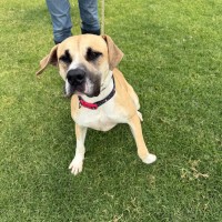 Photo of Rex