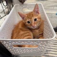 Photo of George