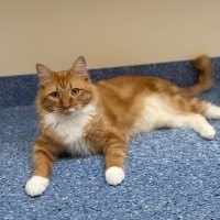 Photo of Frankie