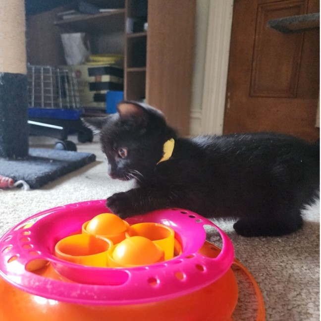 Photo of Tia