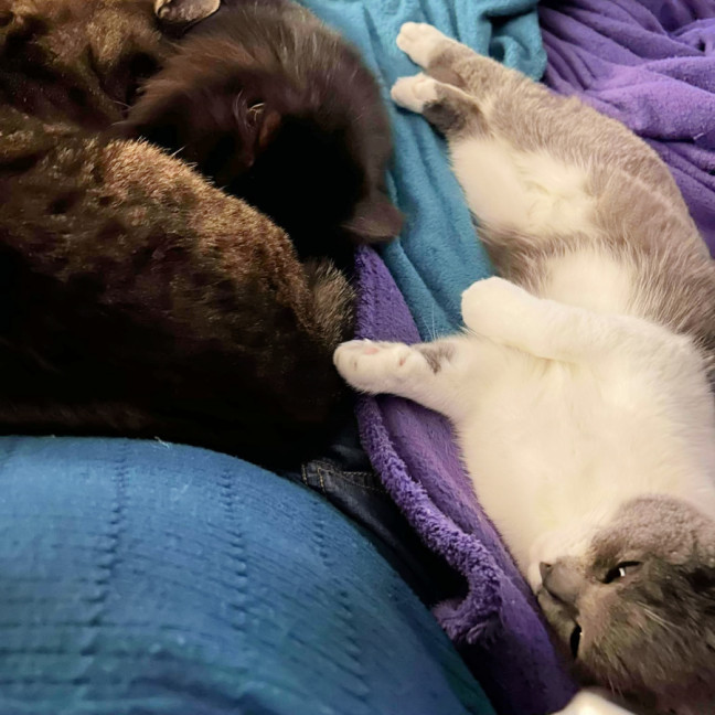 Photo of 🌜Moonshine🌛