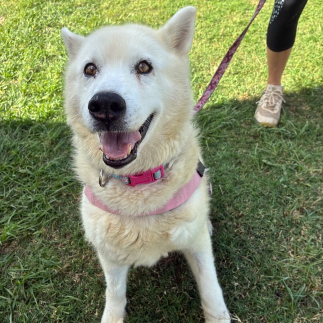 Photo of Saki 