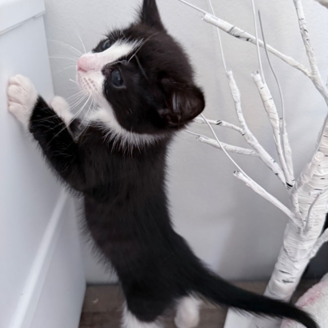 Photo of Addy 🌸🌸