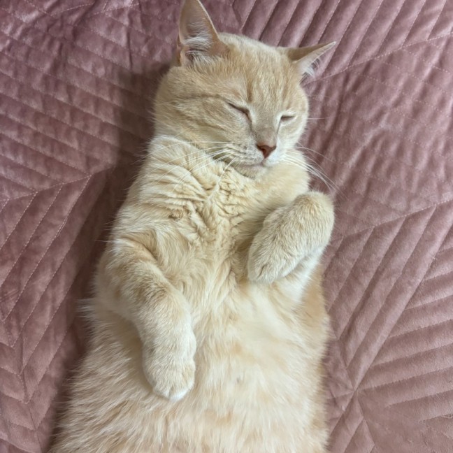 Photo of Carl