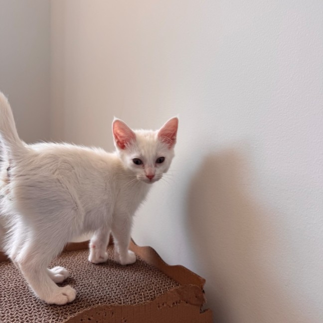 Photo of Wendy