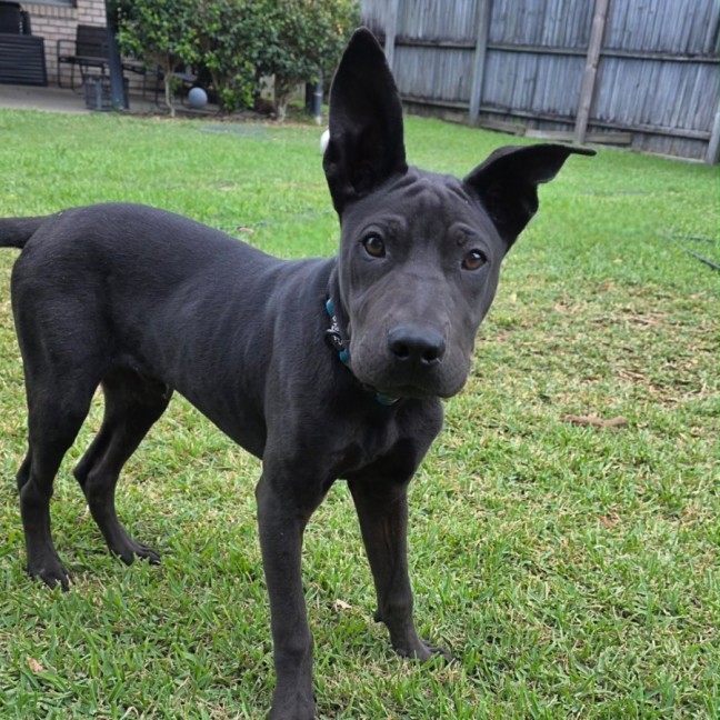 Photo of Zeke