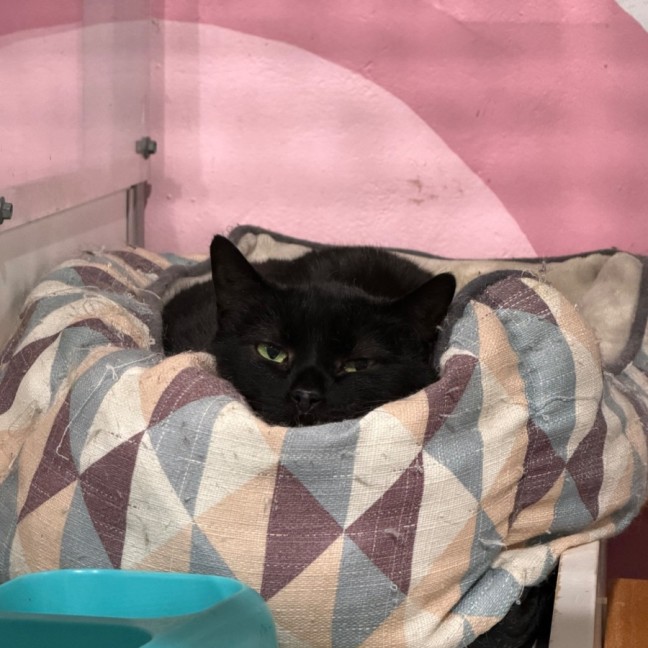 Photo of Isabella