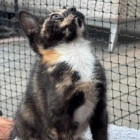 Photo of Tabitha
