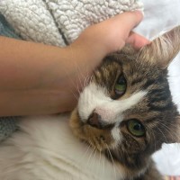 Photo of Hugo
