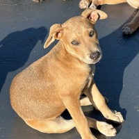 Photo of Payton ⭐️🌈🦋