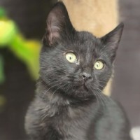 Photo of Trim