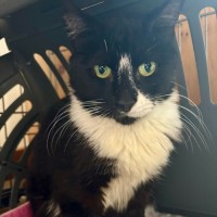 Photo of Libby 
