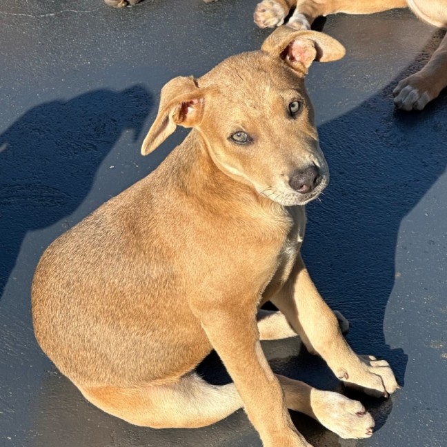 Photo of Payton ⭐️🌈🦋