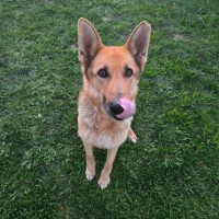 Photo of Lucy