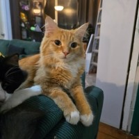 Photo of Faramir