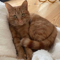 Photo of August 🧡