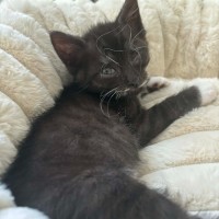 Photo of Robbie 😉