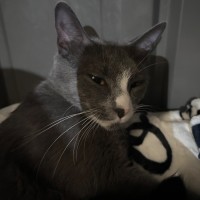 Photo of Rebel Whopper 🍔 🍟 🥤 