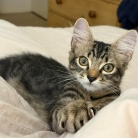 Photo of Will