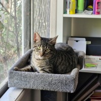 Photo of Boondy