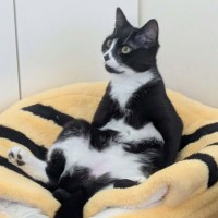 Photo of Slinky