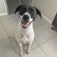 Photo of Poppy