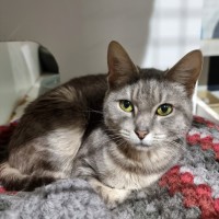 Photo of Delilah