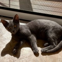 Photo of Astro