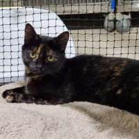 Photo of Polly