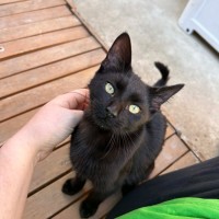 Photo of Zuzu