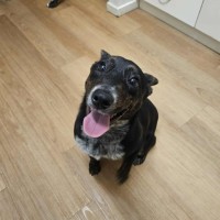 Photo of Matilda