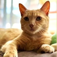 Photo of Abigail   Located In Fairfield