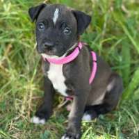 Photo of Jeanie