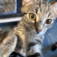 Photo of Spencer 🐱 