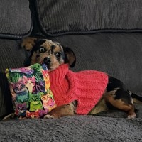 Photo of Lyla 