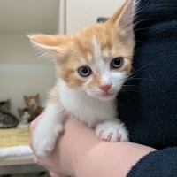 Photo of Secret Sauce 