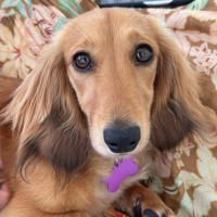 Photo of Sophie
