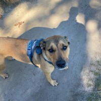 Photo of Tucker